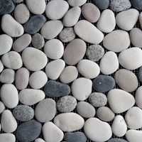Mixed Round Stone Pebble Mosaic Tile 